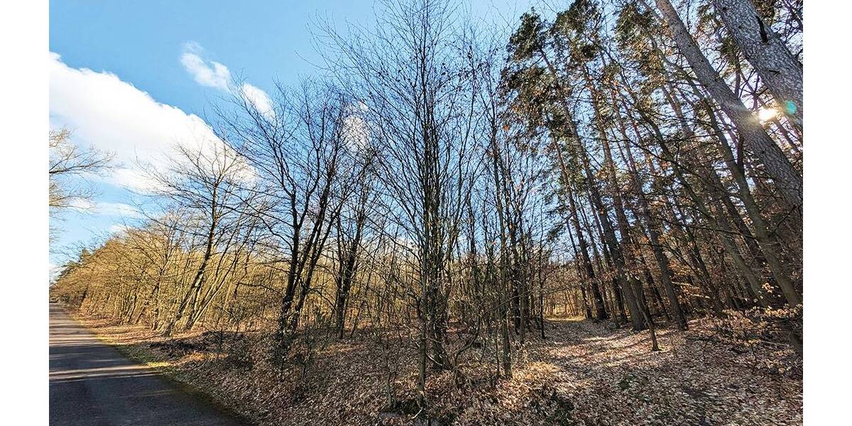 Grundstück Gardelegen Zichtau - 98.000&euro; | Angebot:26246289