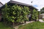 Einfamilienhaus Osterhofen - 6 Zimmer, 145 m&sup2;, 499.000&euro; | Angebot:27081386