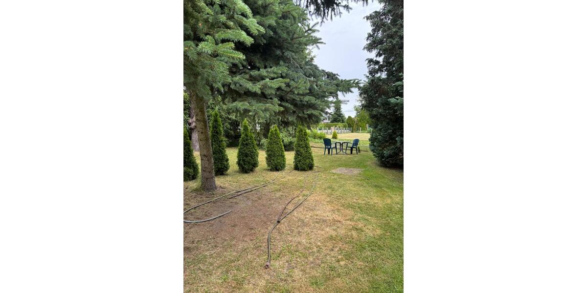 Einfamilienhaus Bad Schmiedeberg - 5 Zimmer, 100 m&sup2;, 185.000&euro; | Angebot:26888664