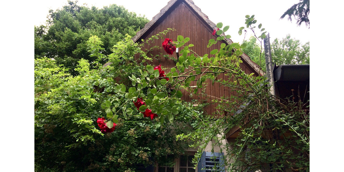 Einfamilienhaus Doberlug-Kirchhain Kirchhain - 2 Zimmer, 53 m&sup2;, 159.000&euro; | Angebot:25350058