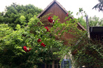 Einfamilienhaus Doberlug-Kirchhain Kirchhain - 2 Zimmer, 53 m&sup2;, 159.000&euro; | Angebot:25350058
