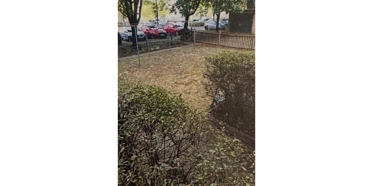 Erdgeschoßwohnung Dresden Blasewitz - 2 Zimmer, 47 m&sup2;, 550&euro; | Angebot:26301253