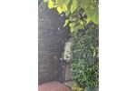 Einfamilienhaus Elsterwerda - 6 Zimmer, 100 m&sup2;, 279.000&euro; | Angebot:26947997