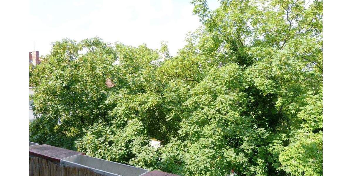 Charmante Altbauwohnung mit Stil - Wohnen im Herzen von Hannover 5 zimmer