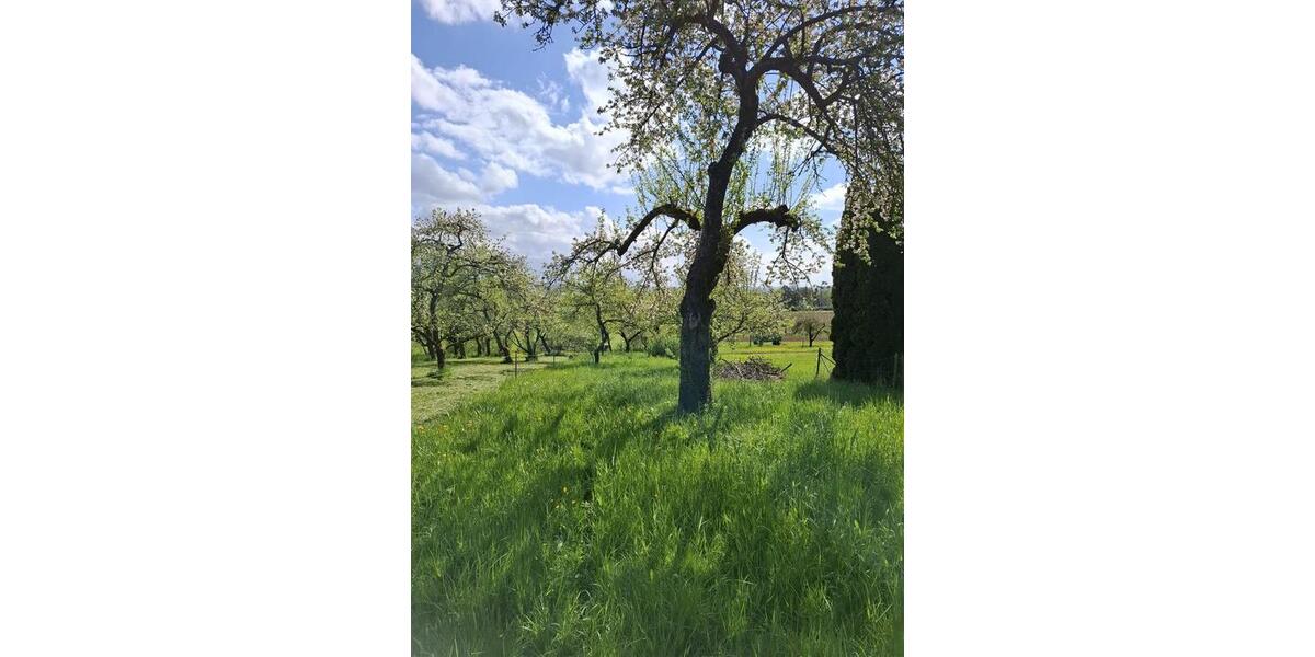 Grundstück Esslingen am Neckar - 50&euro; | Angebot:26378676