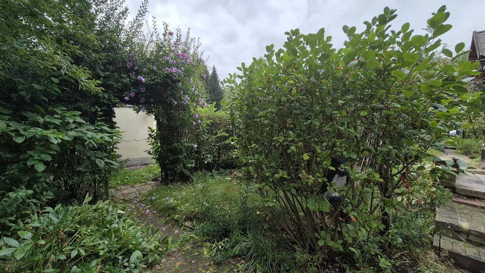 Mehrfamilienhaus, Wohnhaus Bad Muskau - 1 Zimmer, 24 m&sup2;, 22.000&euro; | Angebot:25771207