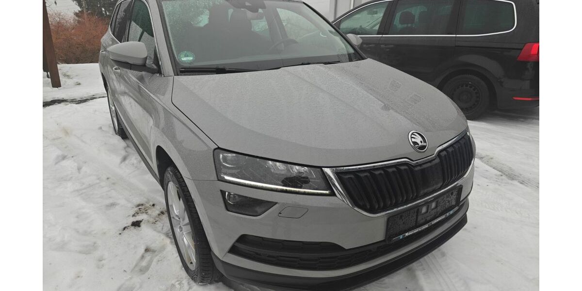 Skoda Karoq 134.500 km 17.700 &euro; Heimburg 38889