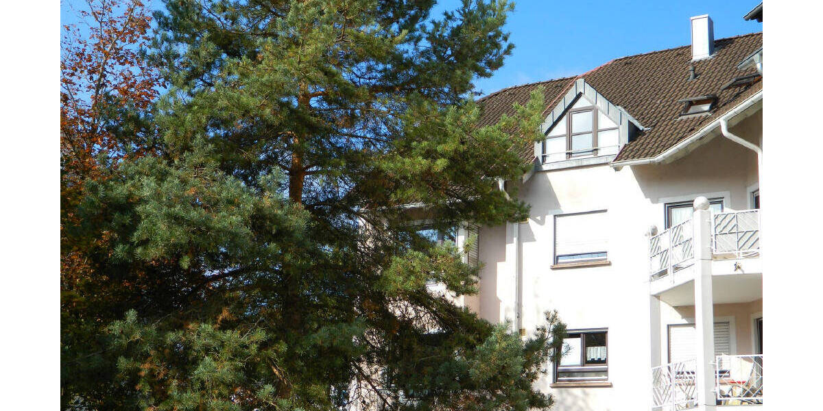 Etagenwohnung Gottmadingen - 3 Zimmer, 102 m&sup2;, 393.000&euro; | Angebot:25899414