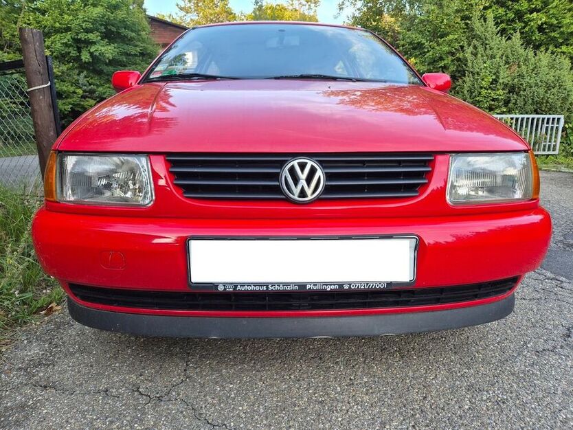 Polo
