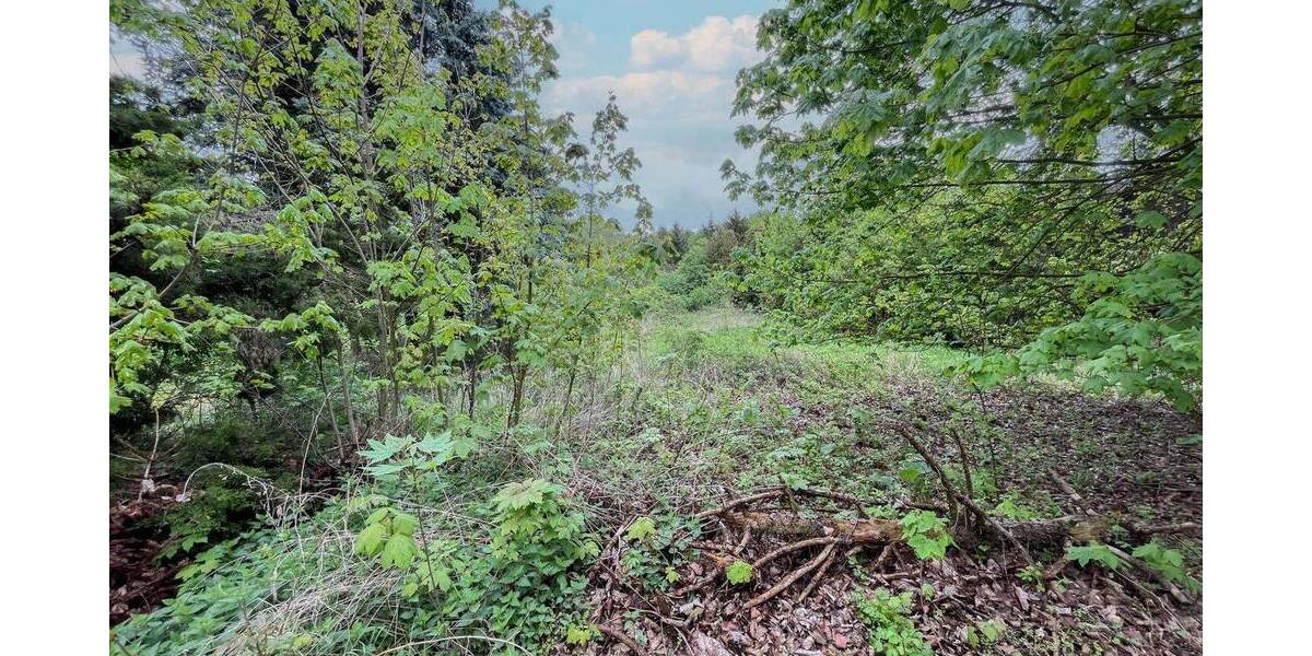 Grundstück Wettin-Löbejün Wettin - 26.500&euro; | Angebot:26799587