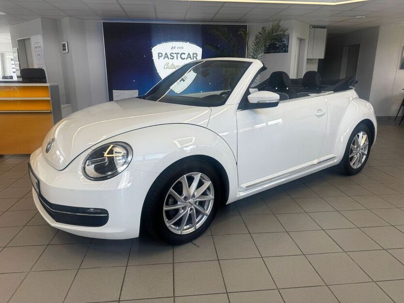 Beetle