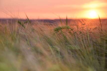 Wohnung zum Mieten in Schwedt 370 € 59.7 m² 3 zimmer