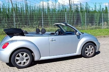VW Beetle