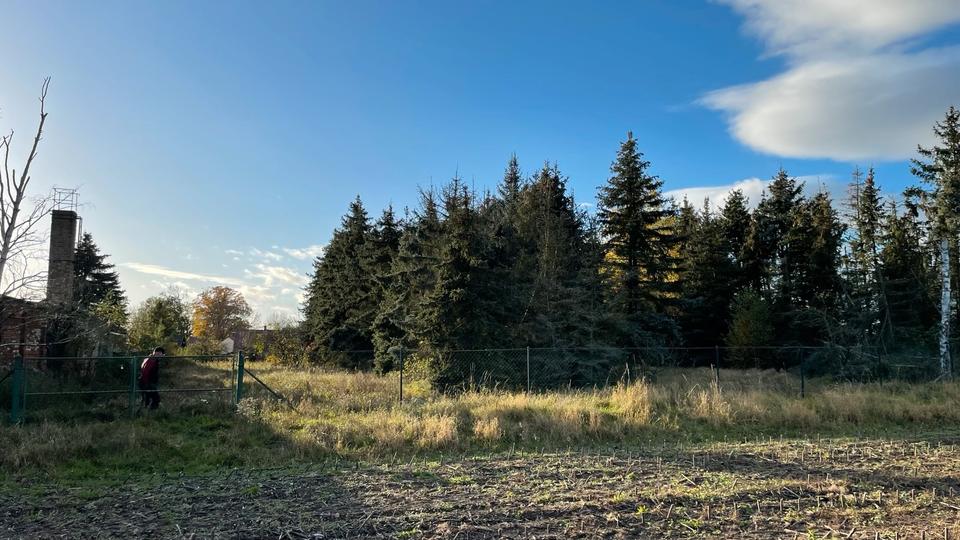 Einfamilienhaus Stendal - 179.000&euro; | Angebot:26678046