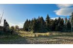 Einfamilienhaus Stendal - 179.000&euro; | Angebot:26678046