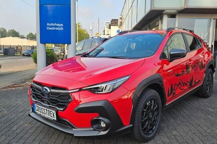 Subaru Andere