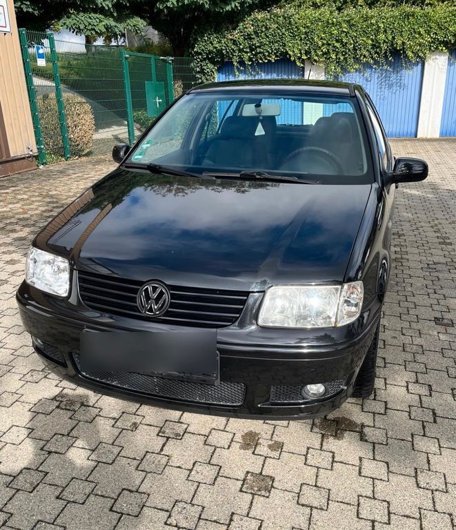 Polo