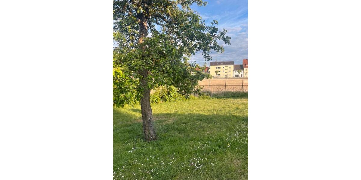 Etagenwohnung Neuburg an der Donau - 2 Zimmer, 66 m&sup2;, 800&euro; | Angebot:26612648