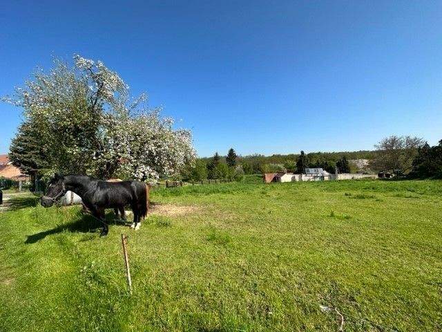 Grundstück Naumburg (Saale) Flemmingen - 79.675&euro; | Angebot:25818946