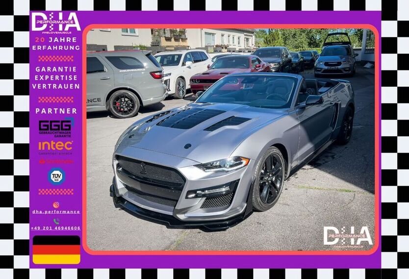 Mustang