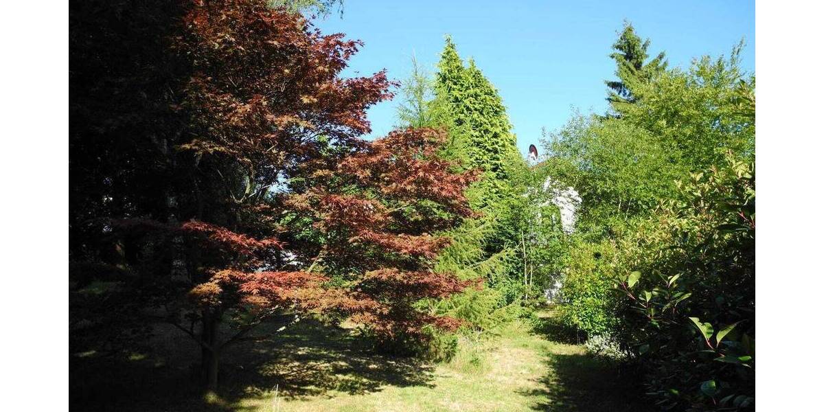 Grundstück Schmitten im Taunus Oberreifenberg - 865.000&euro; | Angebot:23965843