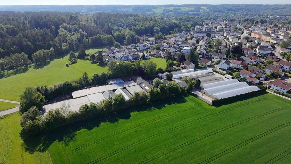 Halle in Eggenfelden 1.390.000 € 6300 m²
