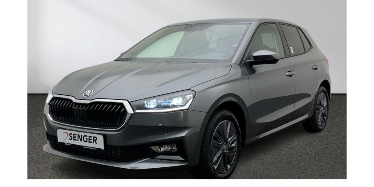 Skoda Fabia 3.000 km 24.290 &euro; Rheine 48429