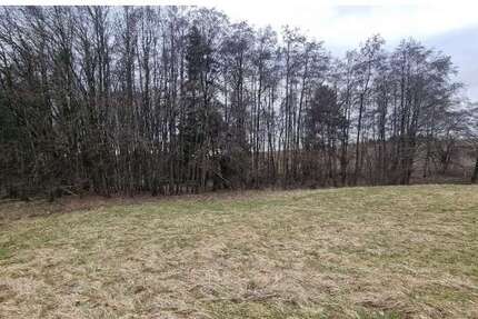 Grundstück Windorf - 19.830&euro; | Angebot:25483839