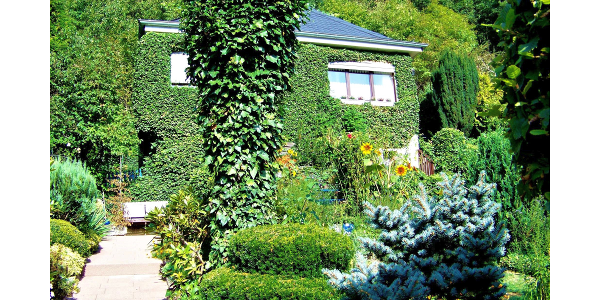 Einfamilienhaus Bad Ems - 5 Zimmer, 88 m&sup2;, 225.000&euro; | Angebot:26997895