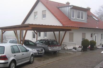 3Zi Mietwohnung Laufenburg, groß, naturah, wohnen mit Alpenblick 3 zimmer