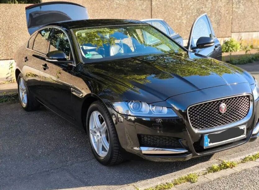 XF