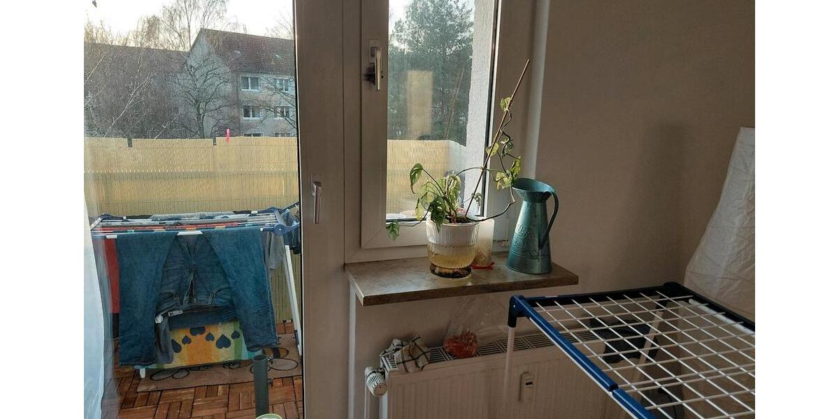 Etagenwohnung Wolgast - 2 Zimmer, 49 m&sup2;, 446&euro; | Angebot:26302362