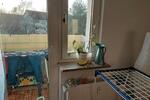 Etagenwohnung Wolgast - 2 Zimmer, 49 m&sup2;, 446&euro; | Angebot:26302362