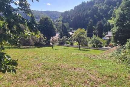 Grundstück Schönau - 200.000&euro; | Angebot:22144831