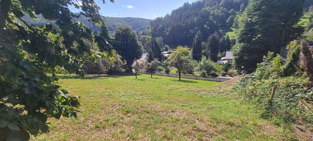 Grundstück Schönau - 200.000&euro; | Angebot:22144831