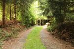 Schirgiswalde-Kirschau - Erholungsgrundstück - Grundstück Schirgiswalde-Kirschau Kirschau | Angebot:26960981