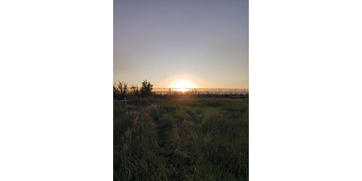 Gewerbeobjekt Jork - 420&euro; | Angebot:24317670