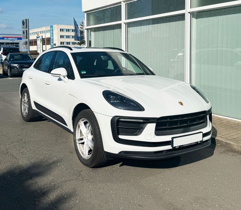 Macan