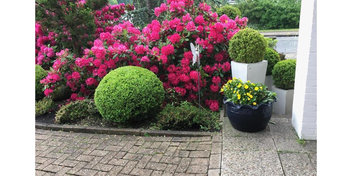 Einfamilienhaus Verden (Aller) - 20 Zimmer, 640 m&sup2;, 630.000&euro; | Angebot:26943900