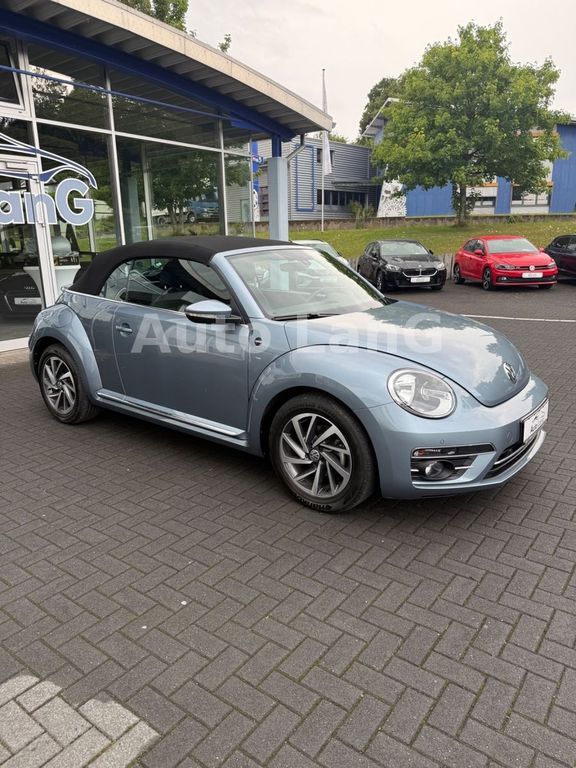 Beetle