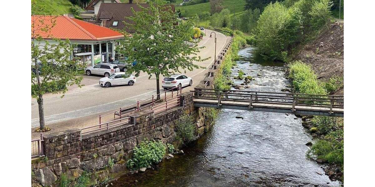 Gewerbeobjekt Bad Rippoldsau-Schapbach Schapbach - 500.000&euro; | Angebot:26230980