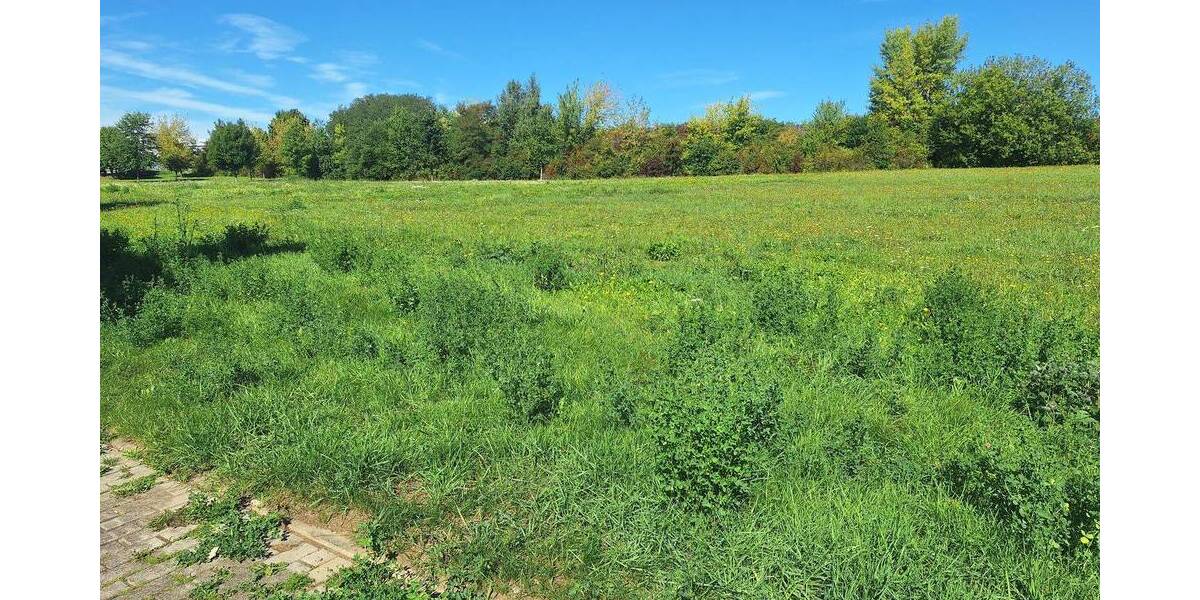 Grundstück Gera Bieblach-Ost - 450.000&euro; | Angebot:23975929