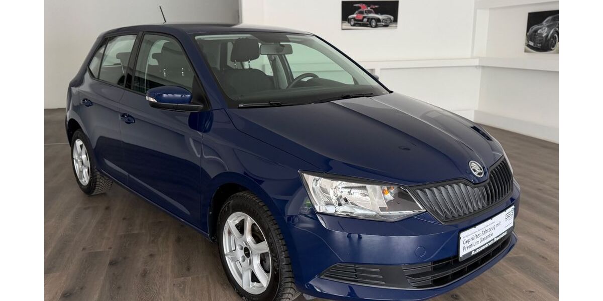 Skoda Fabia 39.505 km 9.500 &euro; Baunatal 34225