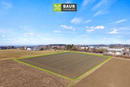 Grundstück Grünkraut - 225.000&euro; | Angebot:25515414