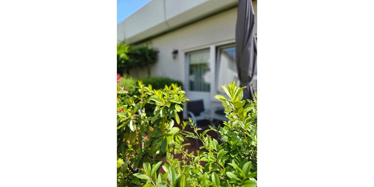 Ferienimmobilie Dresden Blasewitz - 75&euro; | Angebot:25893675