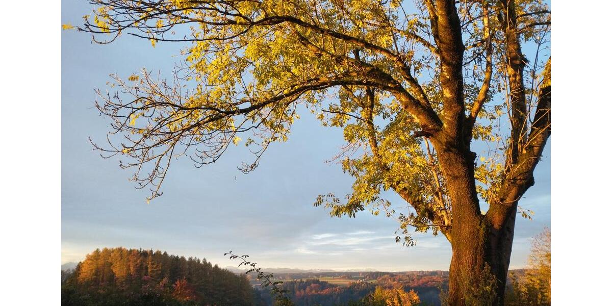 Doppelhaushälfte Glonn - 4 Zimmer, 130 m&sup2;, 1.900&euro; | Angebot:25948203