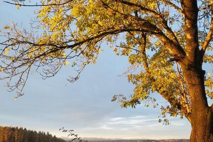 Haus Glonn - 4 Zimmer, 130 m&sup2;, 1.900&euro; | Angebot:25948203