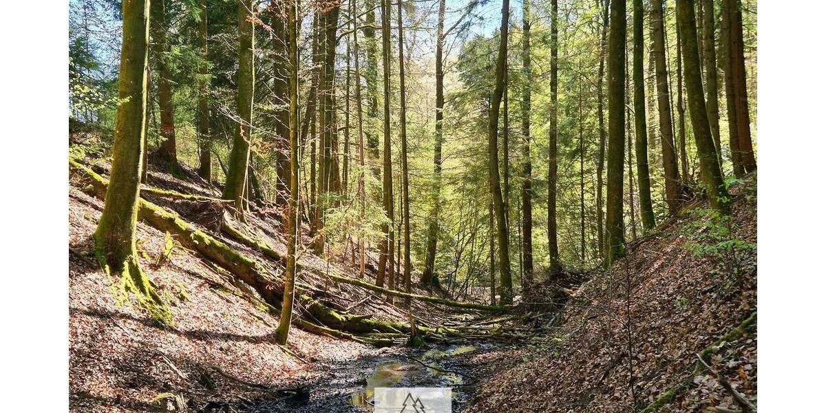 Grundstück Mainhardt Ammertsweiler - 34.900&euro; | Angebot:26798338