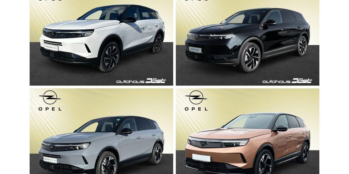 Opel Grandland (X) 5.900 km 39.950 &euro; Weinheim 69469