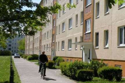 Wohnung zum Mieten in Stralsund 288,64 € 43.08 m² 2 zimmer